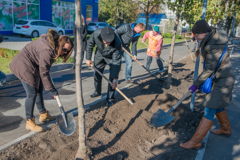 На Московському проспекті почали висадку дерев
