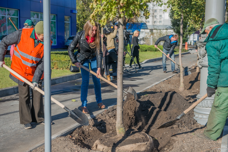 На Московському проспекті почали висадку дерев