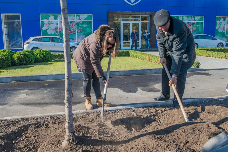 На Московському проспекті почали висадку дерев