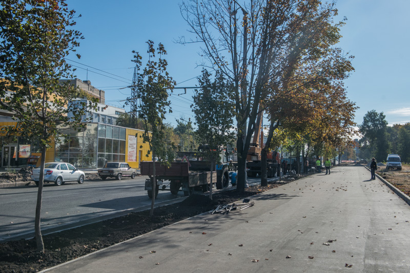 На Московському проспекті почали висадку дерев