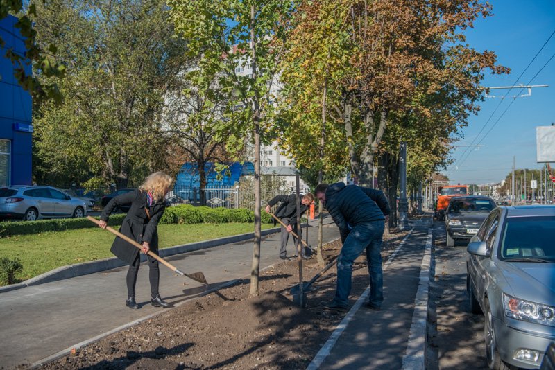 На Московському проспекті почали висадку дерев