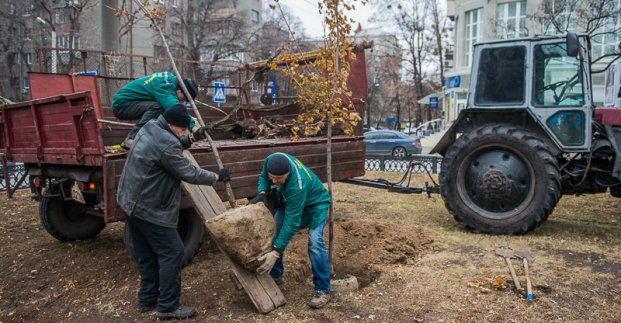 У Харкові завершується сезон посадки дерев