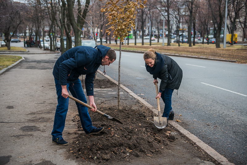 У Харкові завершується сезон посадки дерев