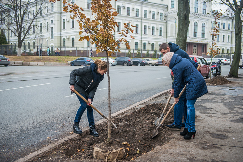 У Харкові завершується сезон посадки дерев