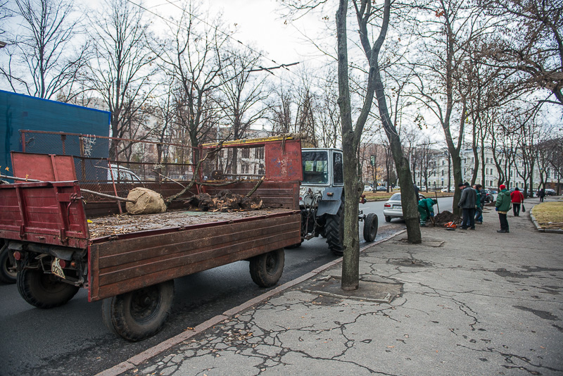 У Харкові завершується сезон посадки дерев