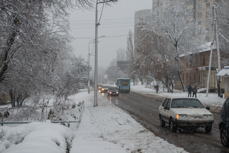 Через снігопад в Харкові впало понад півтисячі дерев