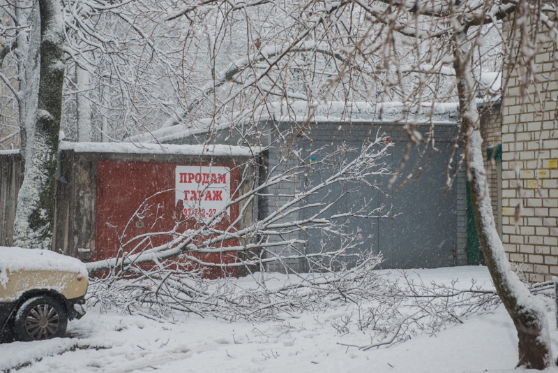 Через снігопад в Харкові впало понад півтисячі дерев