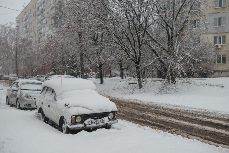 Через снігопад в Харкові впало понад півтисячі дерев