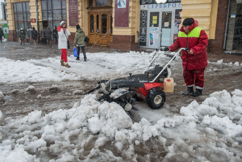 Через снігопад в Харкові впало понад півтисячі дерев