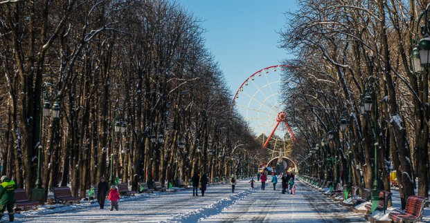 Новорічна програма в парку Горького продовжиться першого січня