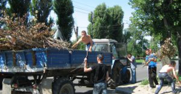 З Комінтернівського району вивезено 280 куб.м дерев, що були повалені під час стихії