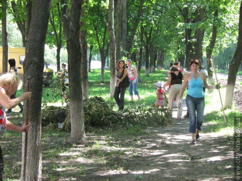 З Комінтернівського району вивезено 280 куб.м дерев, що були повалені під час стихії