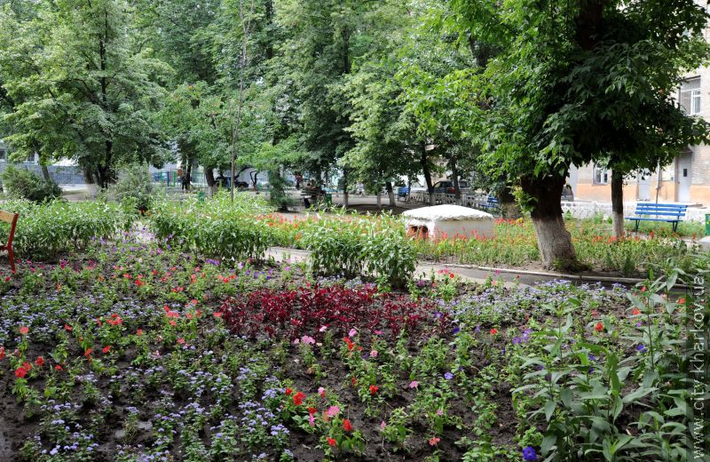6 тисяч квітів висаджено в одному з харківських дворів