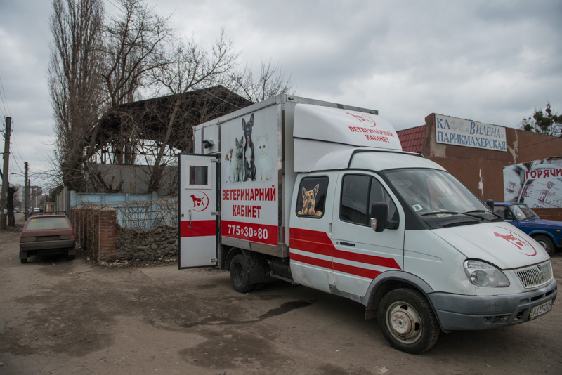 Понад 700 тварин з притулку знайшли нових господарів
