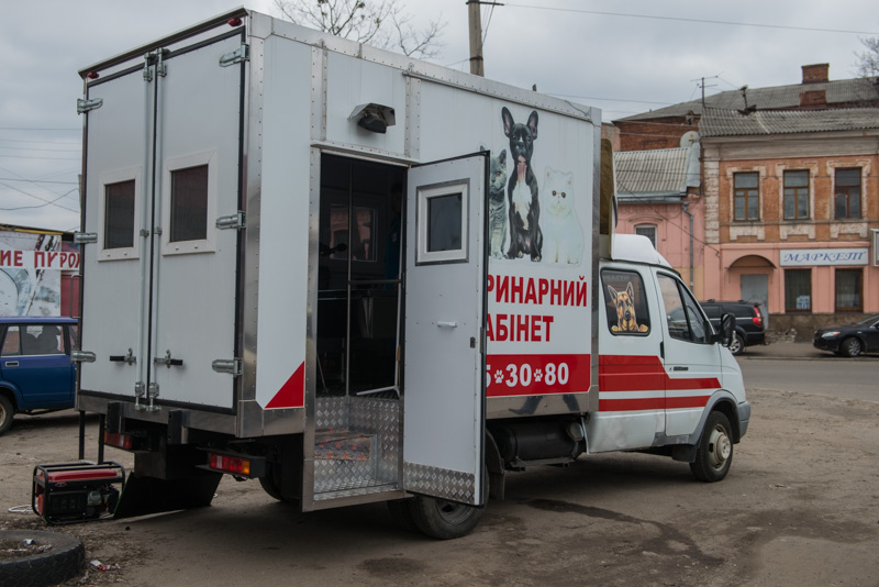 Понад 700 тварин з притулку знайшли нових господарів