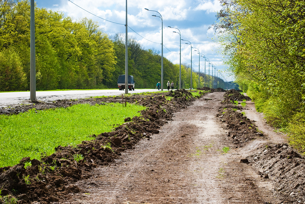 У Харкові почали будувати сучасну велодоріжку