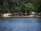 У харківських водоймах можна купатися