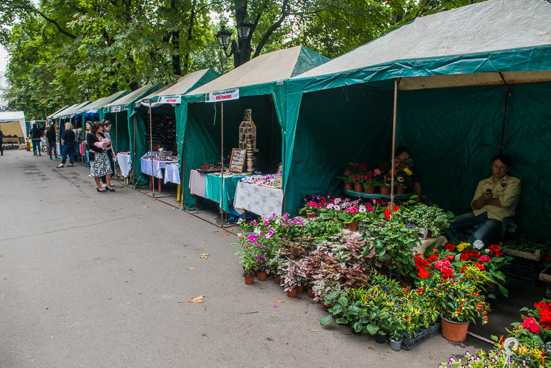 У Харкові відкрився медовий ярмарок