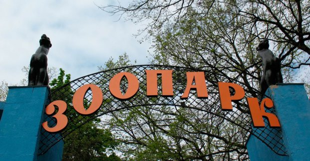 Проект реконструкції Харківського зоопарку представлять в Європі