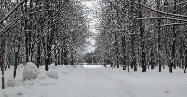 Завтра в Харкові - до 5 градусів морозу