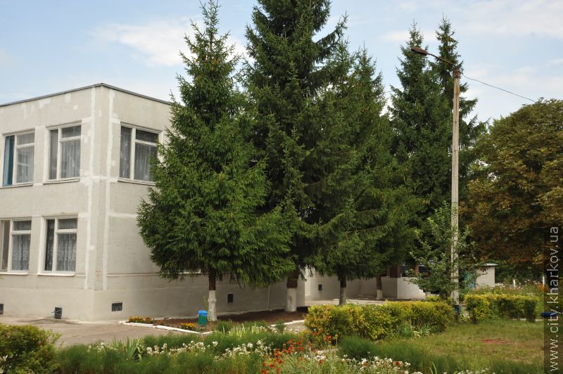 Найкращі школи і дитсадки міста змагаються в підготовці до навчального року