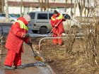 У Харкові стартувало весняне прибирання територій