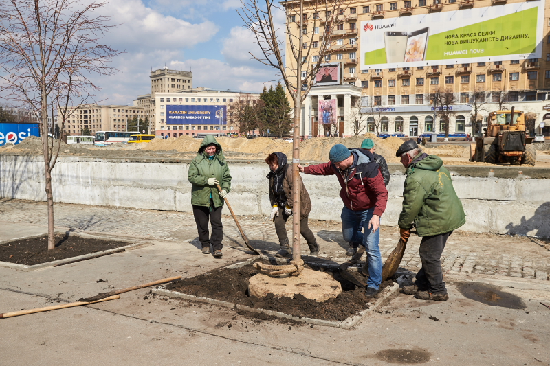 У центрі Харкова висаджують липи