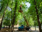 У Шевченківському районі проводять санітарну обрізку дерев