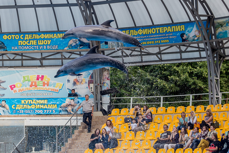 У Харкові нагородили волонтерів чемпіонату Європи з боксу