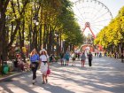 Завтра в Харкові - до 32 градусів тепла