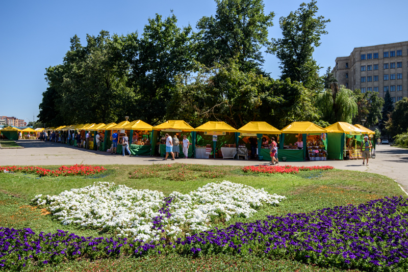 У сквері на площі Свободи відкрився ярмарок меду