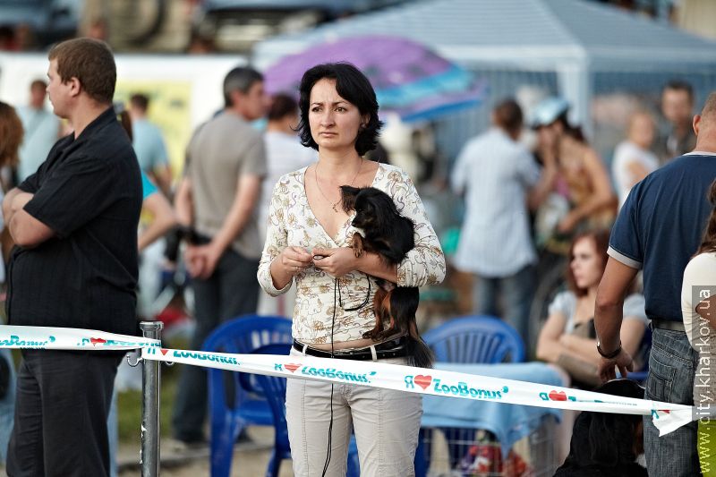 У Харкові відбулася виставка собак