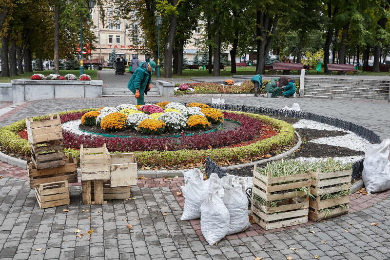 У сквері біля «Дзеркального струменя» готують клумби до холодів