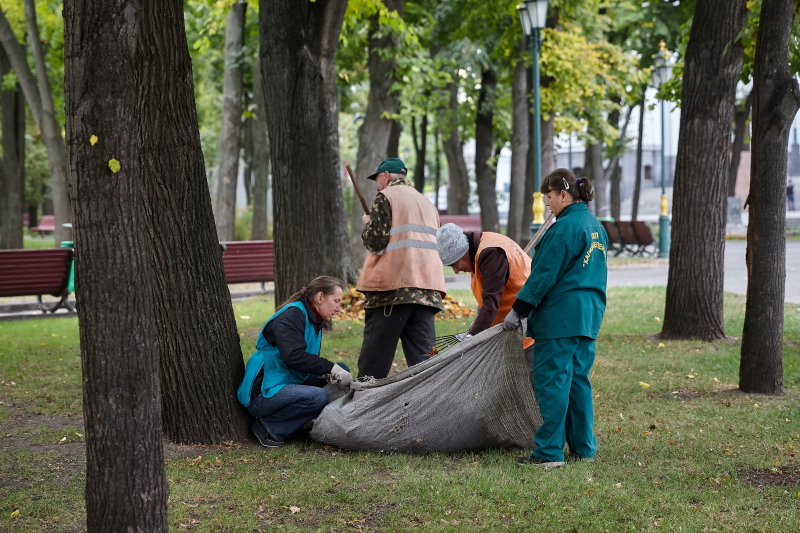 У сквері біля «Дзеркального струменя» готують клумби до холодів