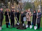Представники українських центрів адмінпослуг посадили в парку Горького дерево дружби