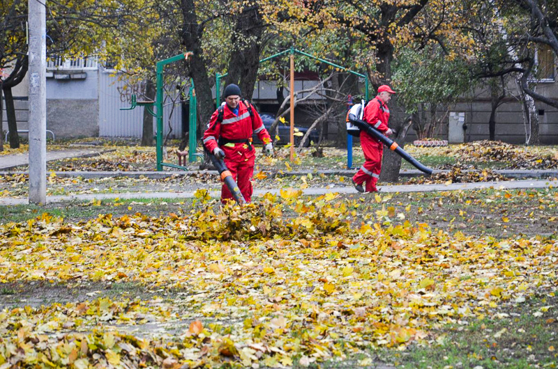 У дворах житлових будинків прибирають листя