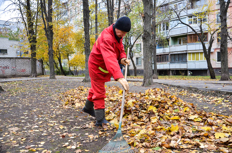 У дворах житлових будинків прибирають листя