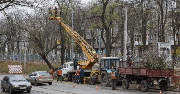 У Харкові проводять обрізку аварійних дерев