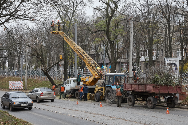 У Харкові проводять обрізку аварійних дерев