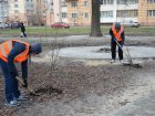 У місті продовжують упорядковувати двори житлових будинків