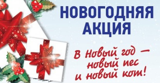 У притулку для тварин стартувала акція «У Новий рік - новий пес і новий кіт!»