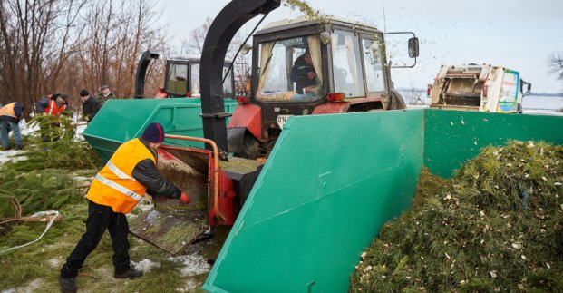 Харківські комунальники почали утилізувати новорічні ялинки