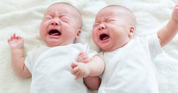 18 січня в Харкові народилося дві двійні