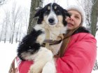 Притулок для тварин оголосив конкурс на кращу смішну історію про домашніх вихованців