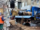 У 2017 році в Харкові посадили понад 3,5 тисячі дерев