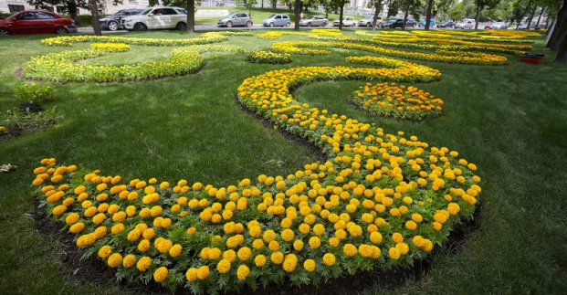 У Харкові закінчується сезон посадки квітів