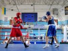 Харківські боксери завоювали п'ять медалей чемпіонату України