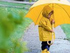 На вихідних в Харкові - тепло і можливий дощ