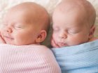 29 листопада в Харкові народилося дві двійні
