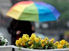 Завтра в Харкові - дощ і до 20 градусів тепла